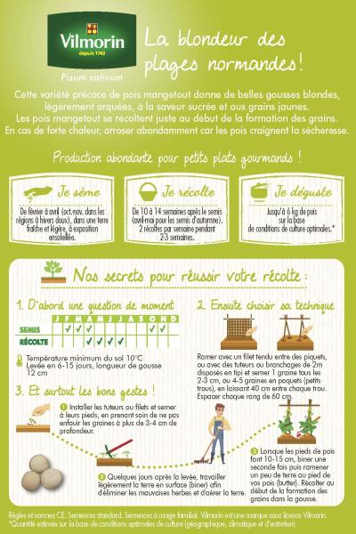 Légumes Secs - Pois Mangetout Normand - 20 m - MEDIA_PACKAGING_VERSO
